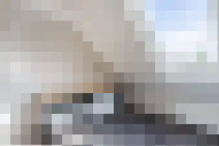 De Esdoorn 4 Koekange thumbnail 20