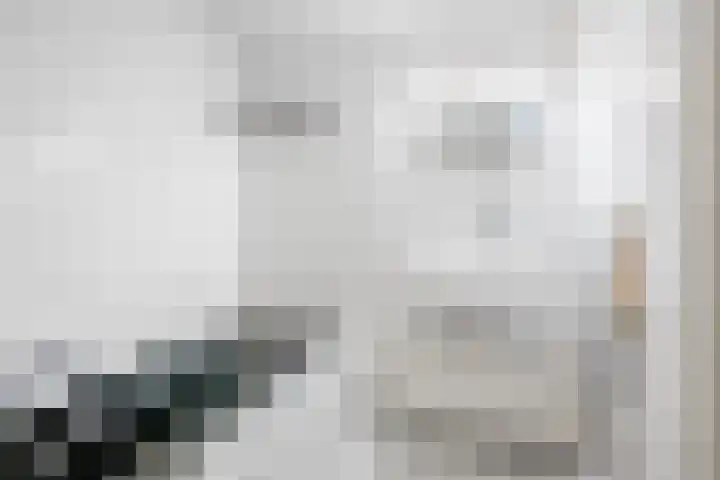 De Esdoorn 4 Koekange thumbnail 25