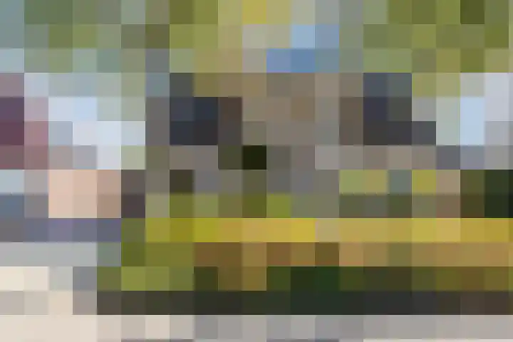 De Esdoorn 4 Koekange thumbnail 27