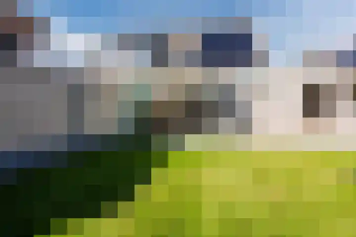 De Esdoorn 4 Koekange thumbnail 28