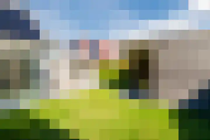 De Esdoorn 4 Koekange thumbnail 29