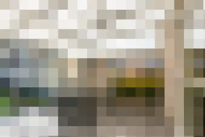 De Esdoorn 4 Koekange thumbnail 30