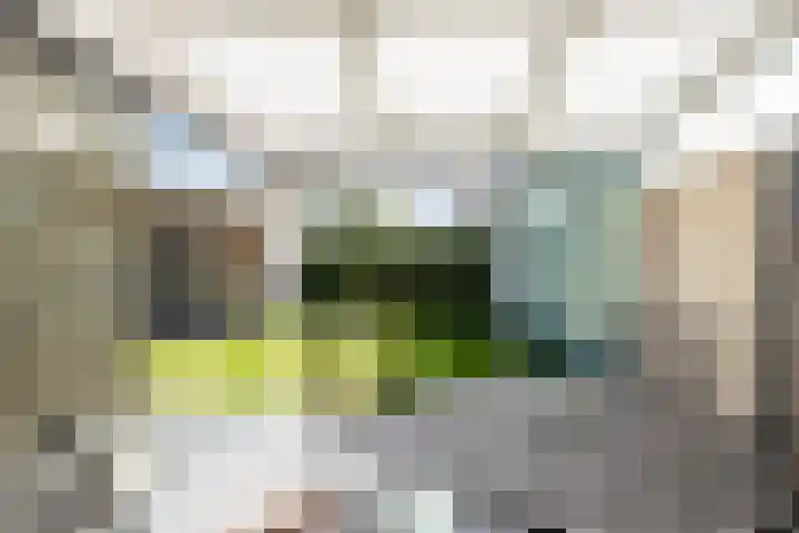 De Esdoorn 4 Koekange thumbnail 31