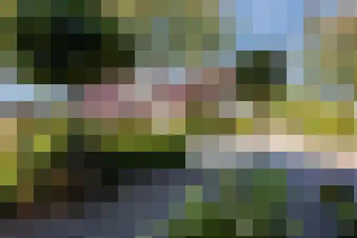 De Esdoorn 4 Koekange thumbnail 33