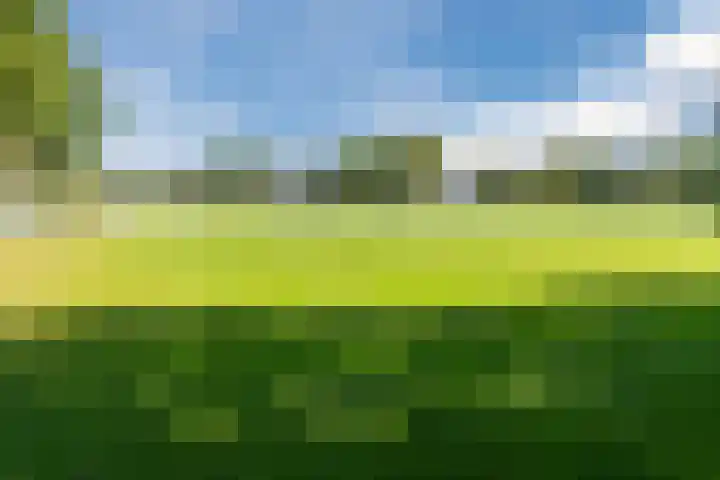 De Esdoorn 4 Koekange thumbnail 35