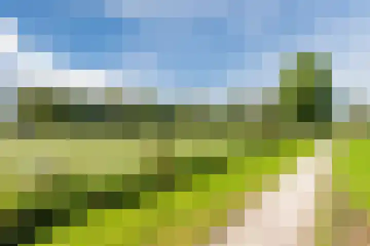 De Esdoorn 4 Koekange thumbnail 36