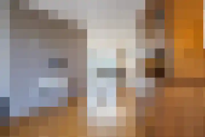 De Esdoorn 4 Koekange thumbnail 8