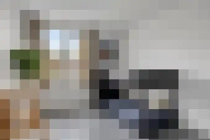 de Esdoorn 44 Boxmeer thumbnail 14