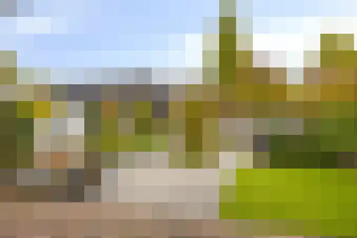 de Esdoorn 44 Boxmeer thumbnail 24