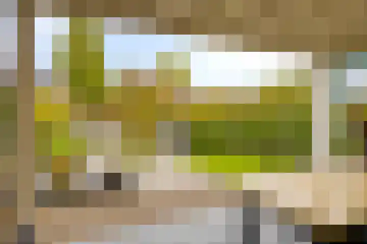 de Esdoorn 44 Boxmeer thumbnail 25