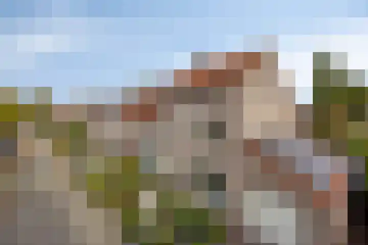 de Esdoorn 44 Boxmeer thumbnail 31