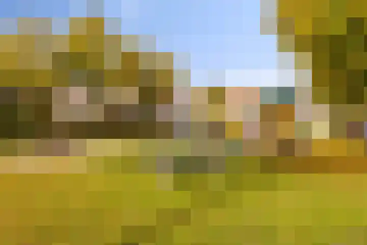 de Esdoorn 44 Boxmeer thumbnail 32