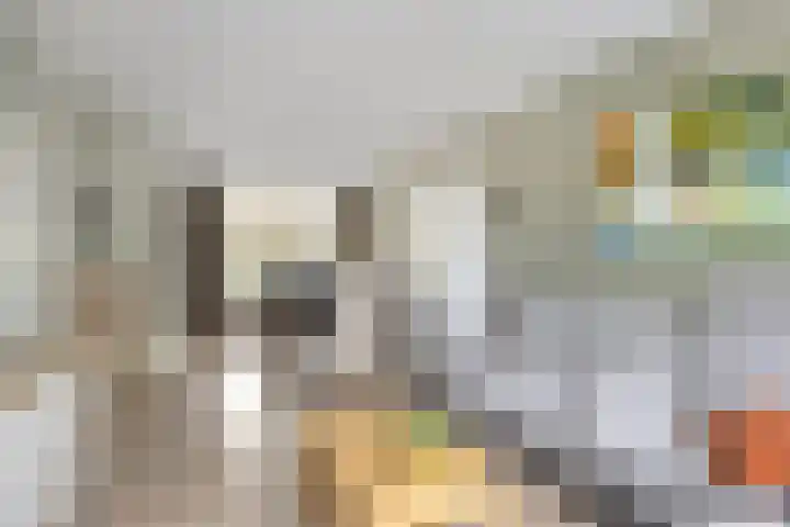 de Esdoorn 44 Boxmeer thumbnail 4