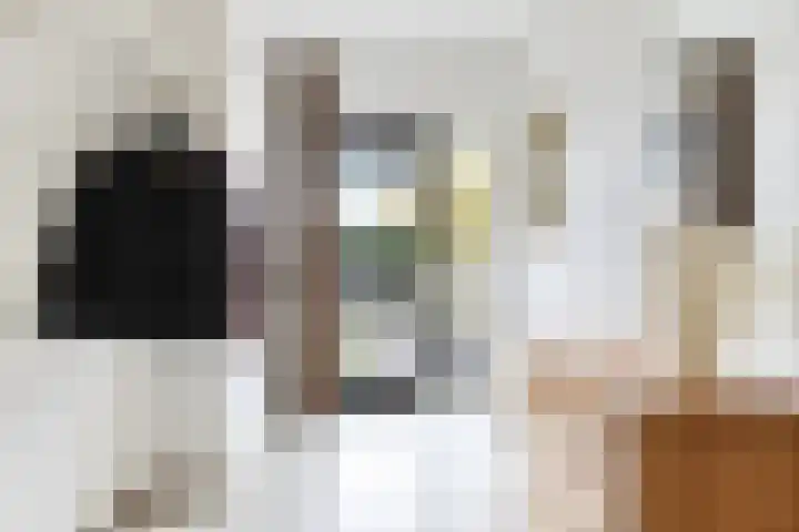 de Esdoorn 6 Boxmeer thumbnail 13