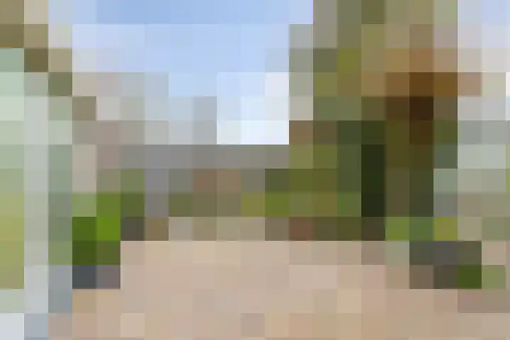 de Esdoorn 6 Boxmeer thumbnail 28