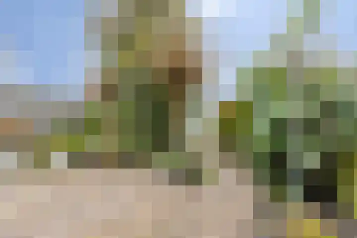 de Esdoorn 6 Boxmeer thumbnail 29