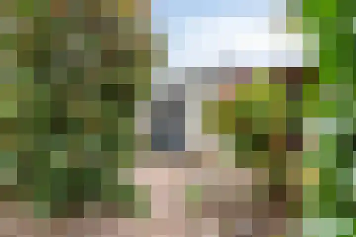de Esdoorn 6 Boxmeer thumbnail 30