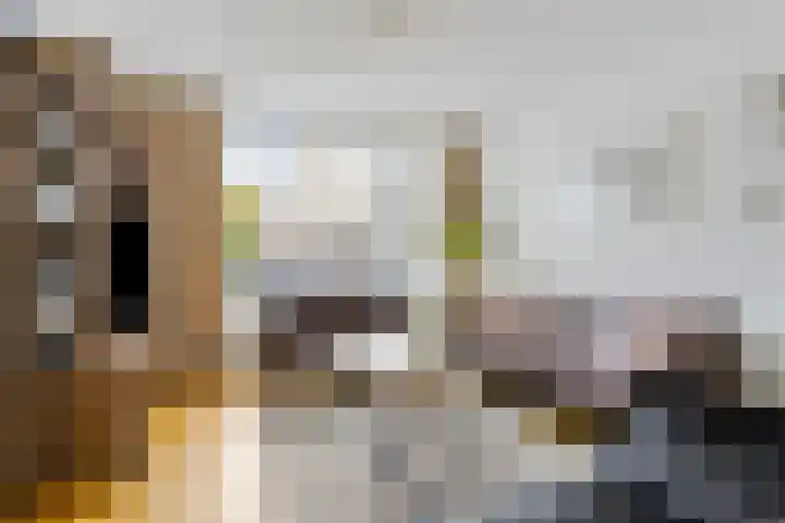 de Esdoorn 6 Boxmeer thumbnail 4