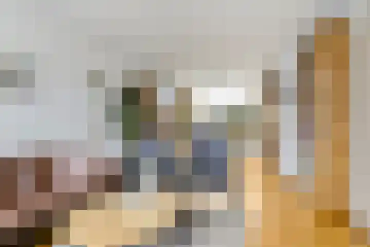 de Esdoorn 6 Boxmeer thumbnail 5