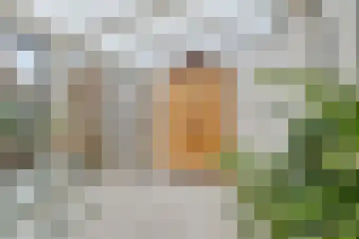 de Esdoorn 6 Boxmeer thumbnail 9
