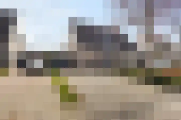 De Esdoorn 8 Koekange