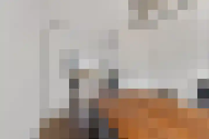 De Esdoorn 8 Koekange thumbnail 13