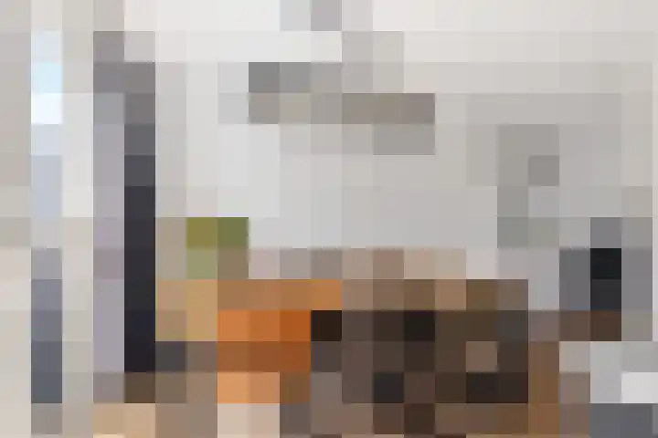 De Esdoorn 8 Koekange thumbnail 14