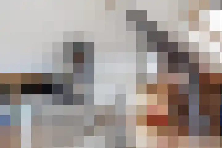 De Esdoorn 8 Koekange thumbnail 33