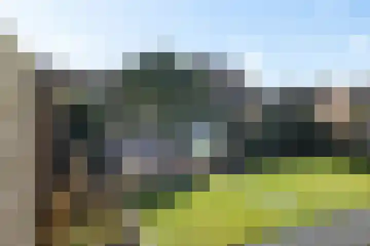 De Esdoorn 8 Koekange thumbnail 38