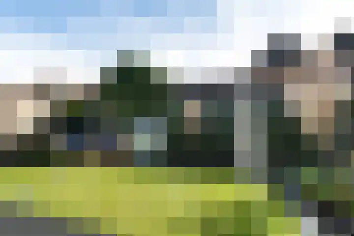 De Esdoorn 8 Koekange thumbnail 39