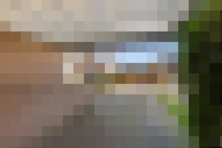 De Esdoorn 8 Koekange thumbnail 4