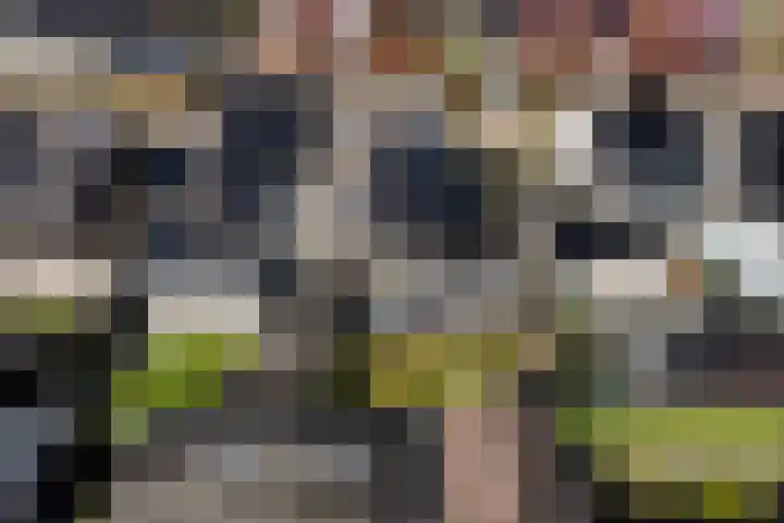 De Esdoorn 8 Koekange thumbnail 40