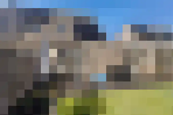 De Esdoorn 8 Koekange thumbnail 41