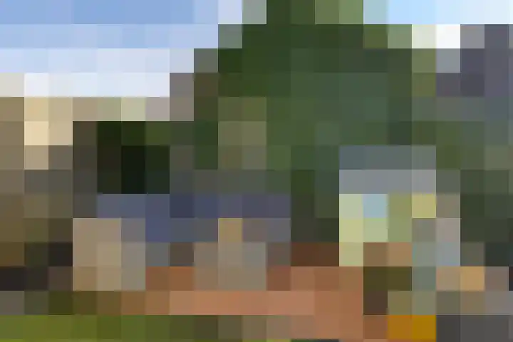 De Esdoorn 8 Koekange thumbnail 43