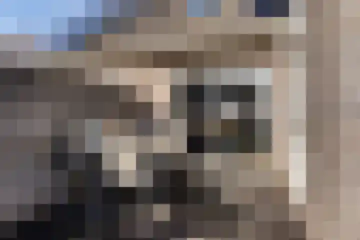 De Esdoorn 8 Koekange thumbnail 44