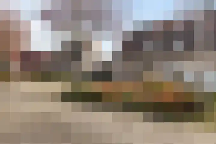 De Esdoorn 8 Koekange thumbnail 45