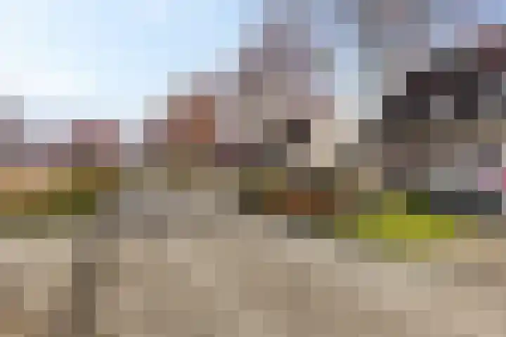 De Esdoorn 8 Koekange thumbnail 46