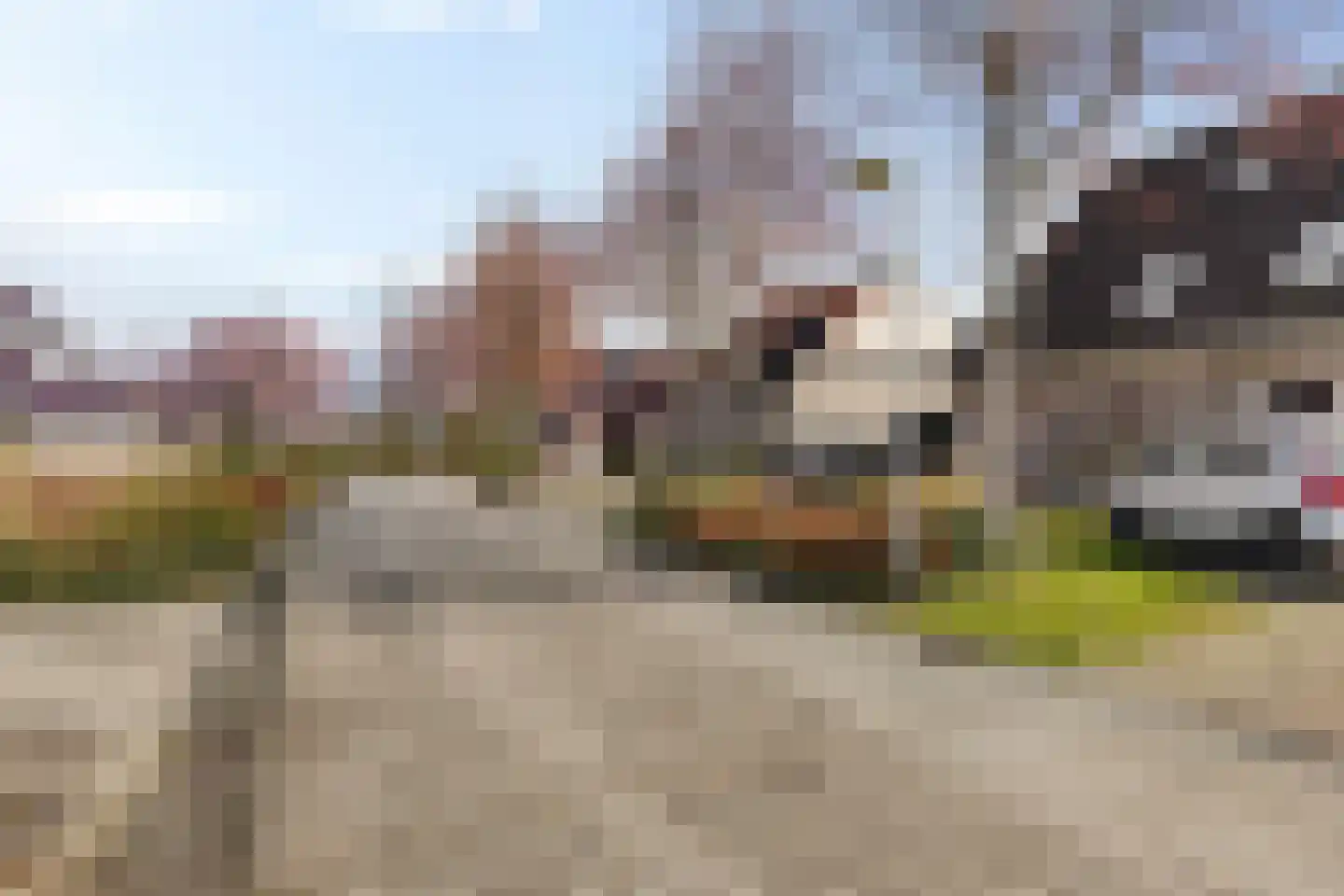 De Esdoorn 8 Koekange thumbnail 46