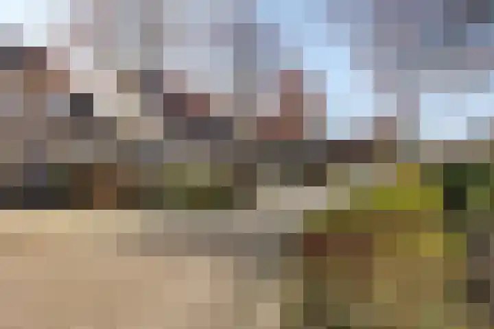 De Esdoorn 8 Koekange thumbnail 47