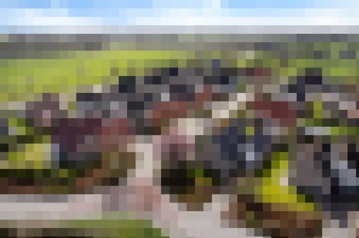 De Esdoorn 8 Koekange thumbnail 48