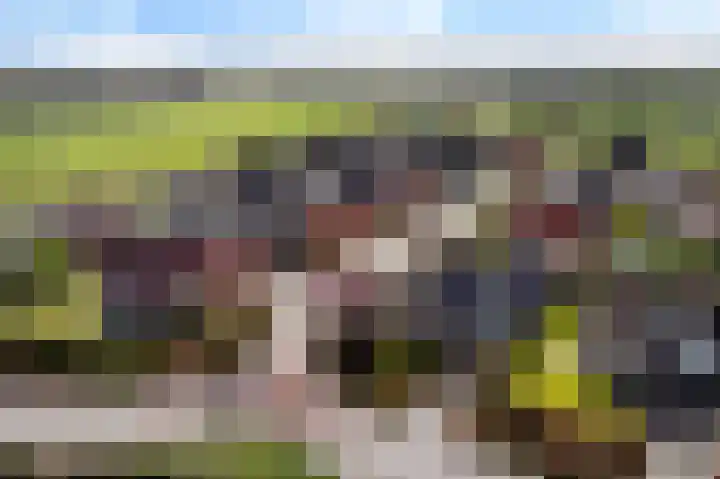 De Esdoorn 8 Koekange thumbnail 48