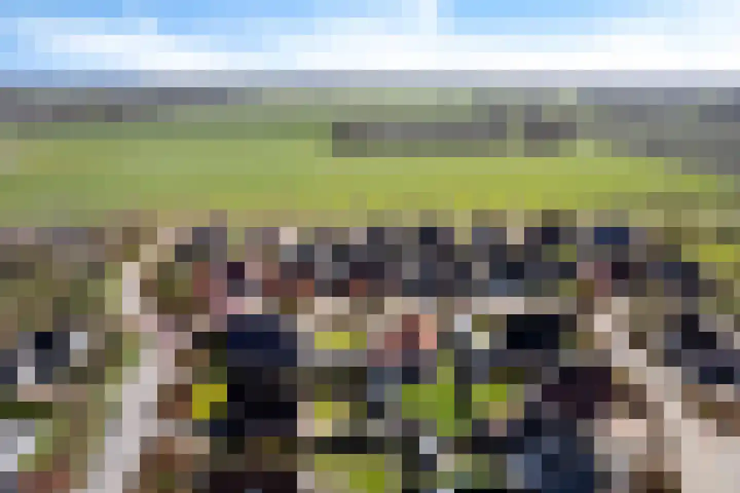 De Esdoorn 8 Koekange thumbnail 49