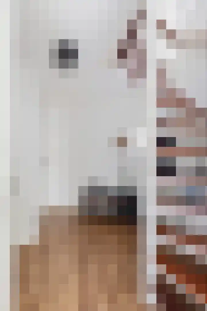 De Esdoorn 8 Koekange thumbnail 5
