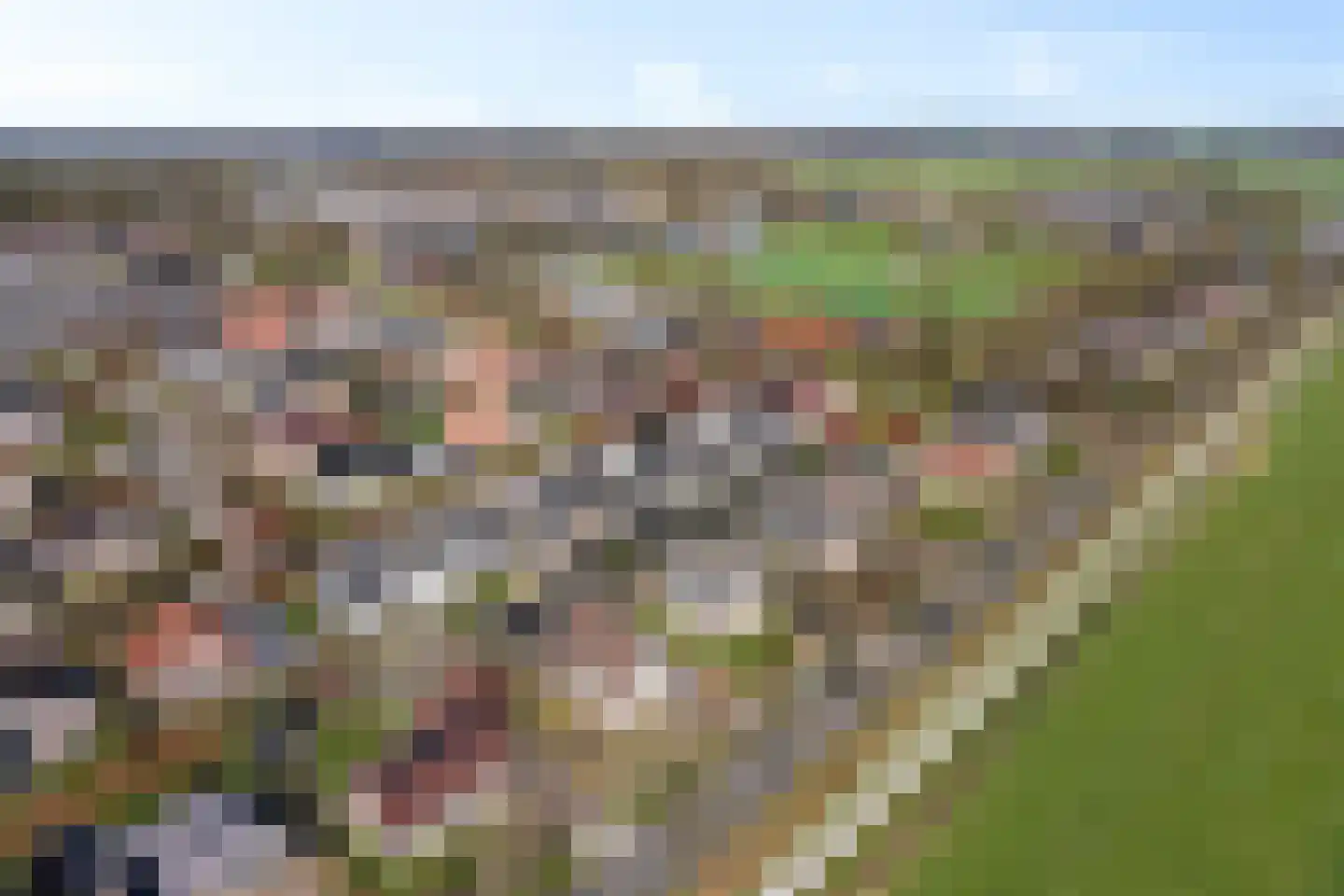 De Esdoorn 8 Koekange thumbnail 50