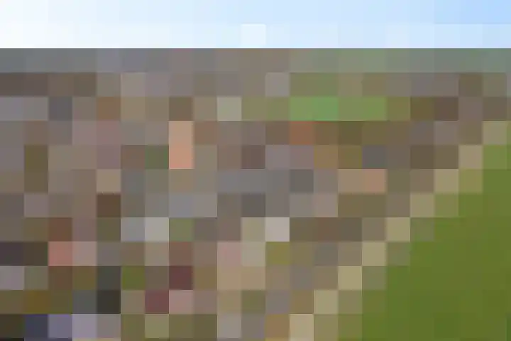 De Esdoorn 8 Koekange thumbnail 50