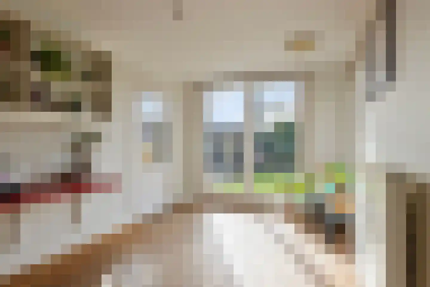 De Esdoorns 28 Boekel thumbnail 11