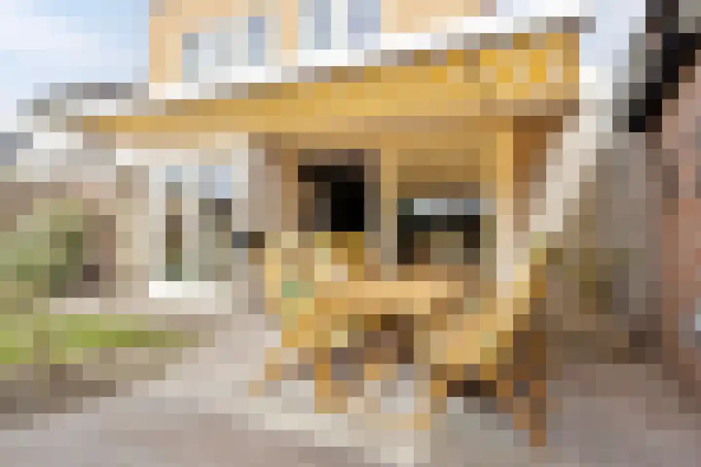 De Esdoorns 28 Boekel thumbnail 38