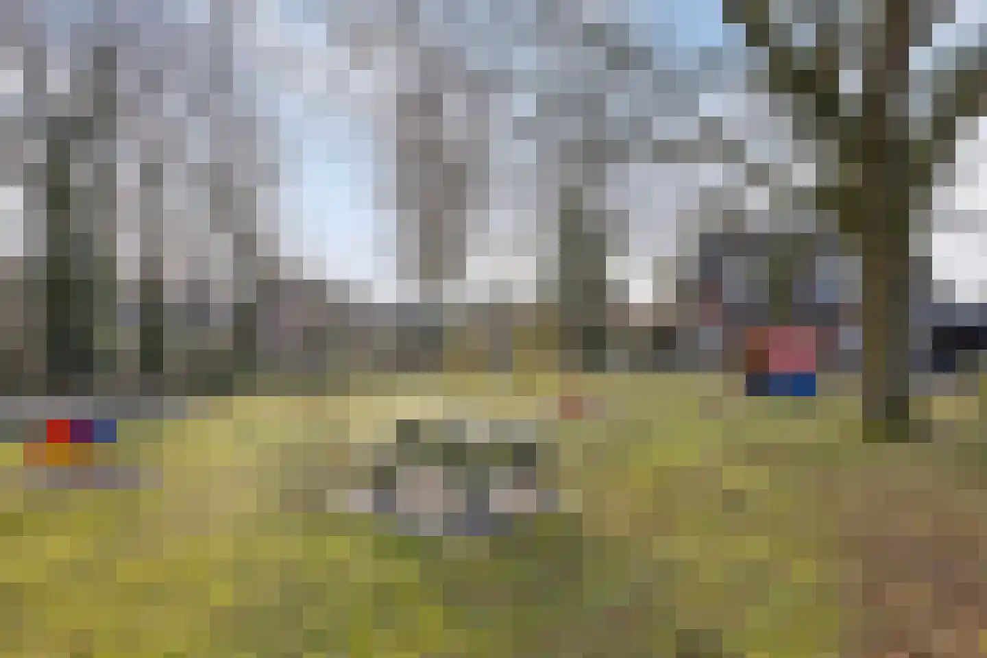 De Esdoorns 28 Boekel thumbnail 41
