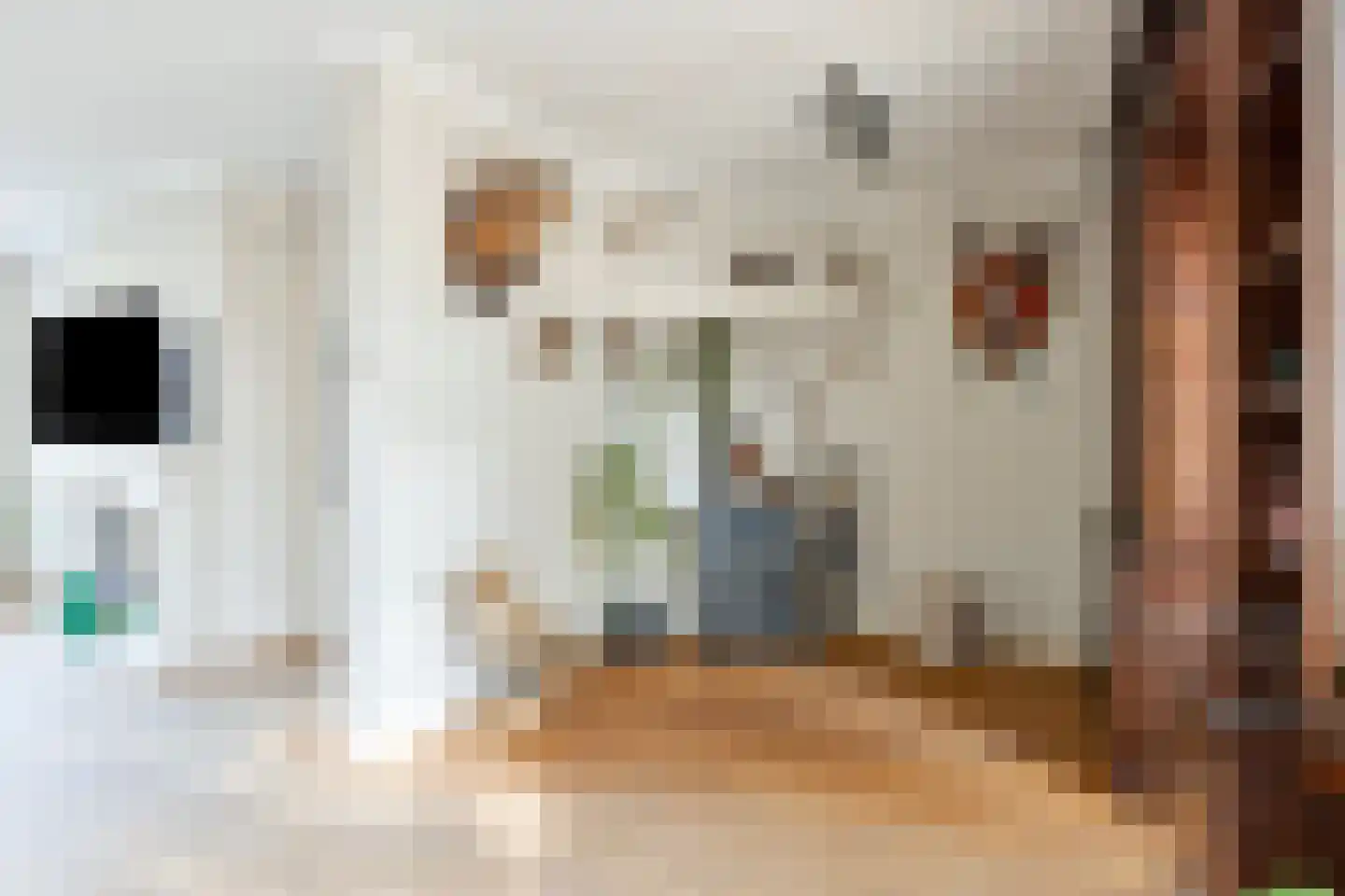 De Esdoorns 28 Boekel thumbnail 8