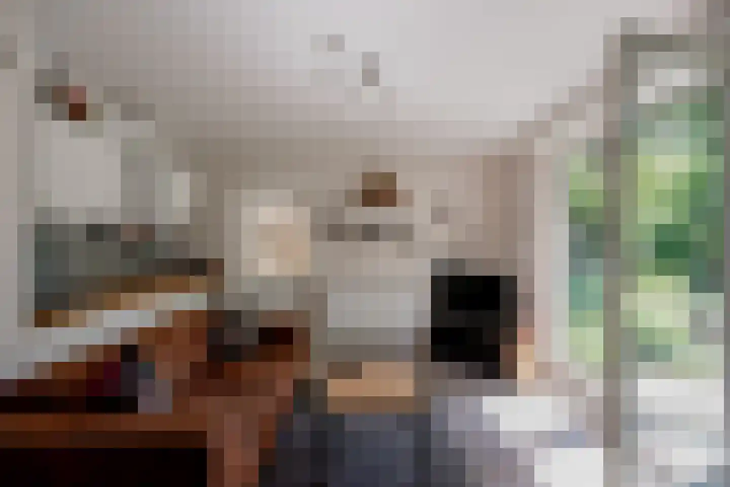 De Essen 29 Boekel thumbnail 13